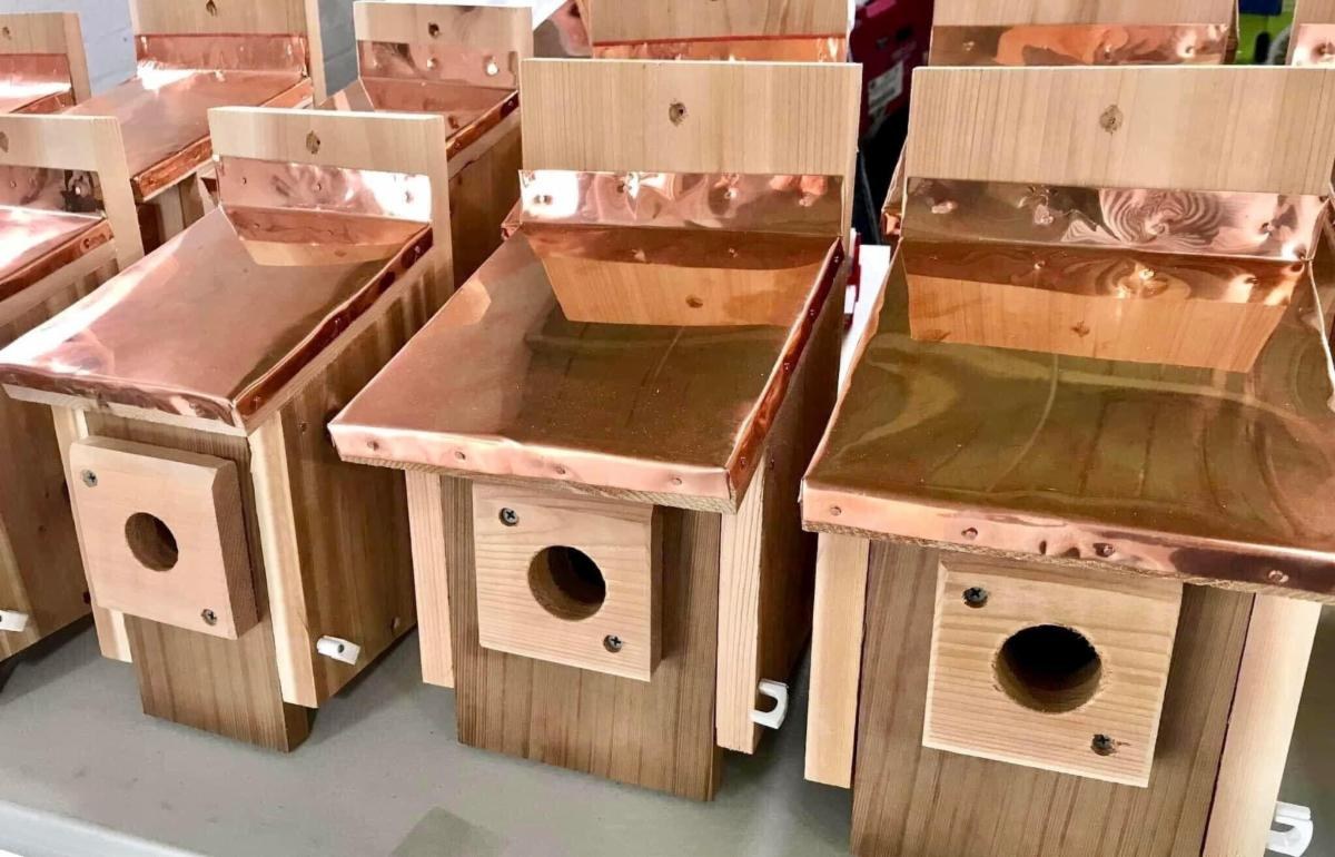 Peter’s Birdhouses & Feeders