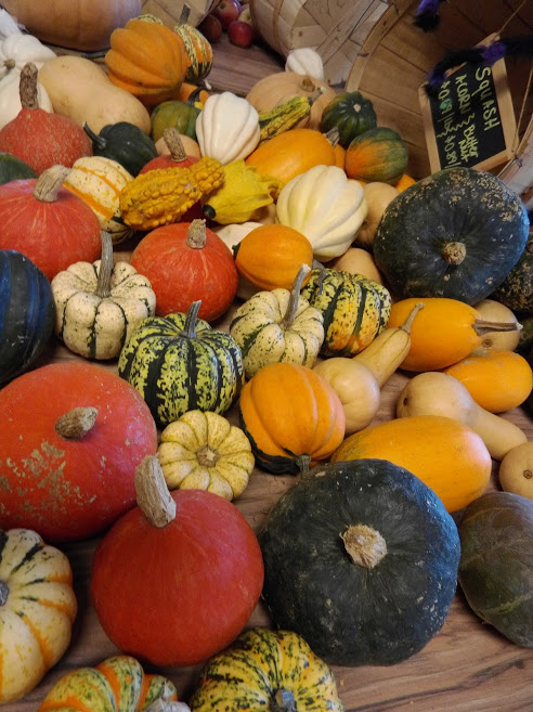 More from Two Barn Farm