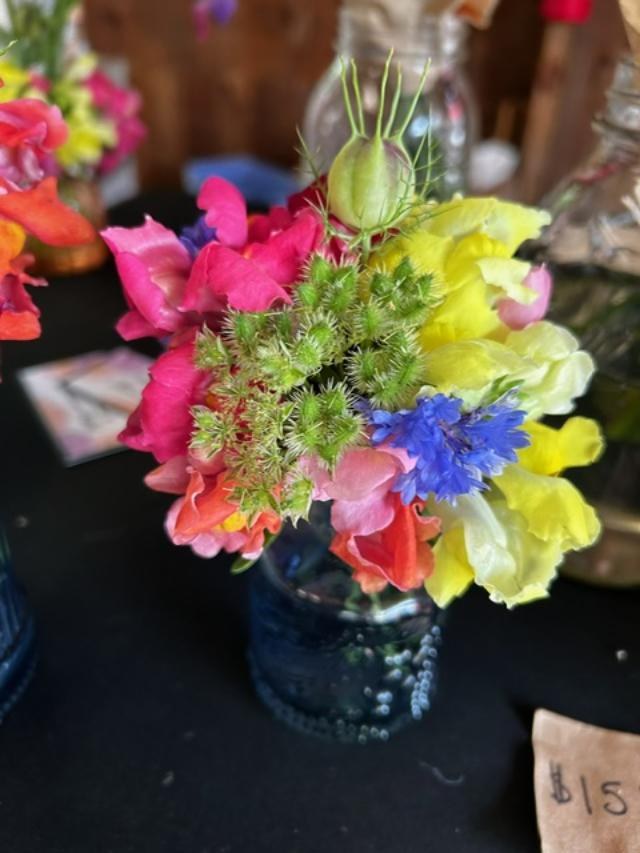 Melaina’s Flower Field