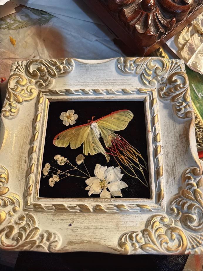Amanda Norman’s Designs