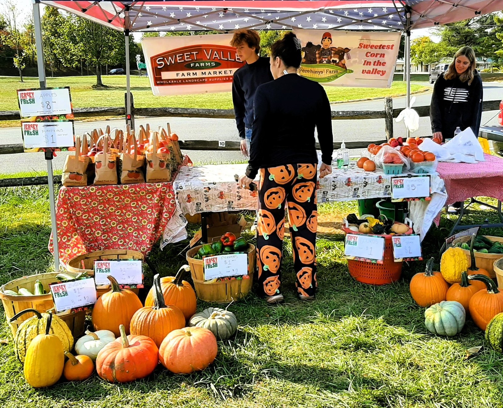 Sweet Valley Farm