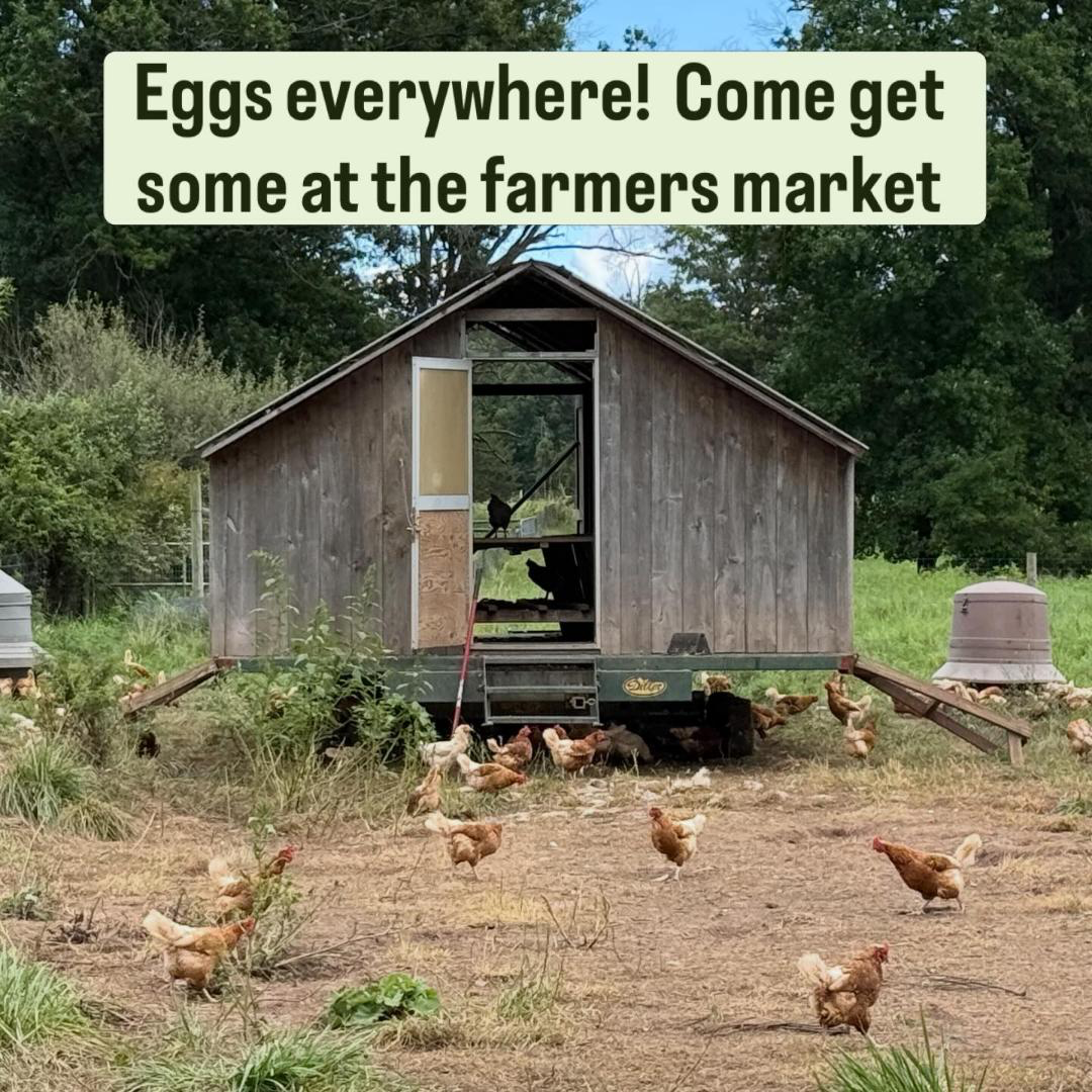 More from Double Brook Farm