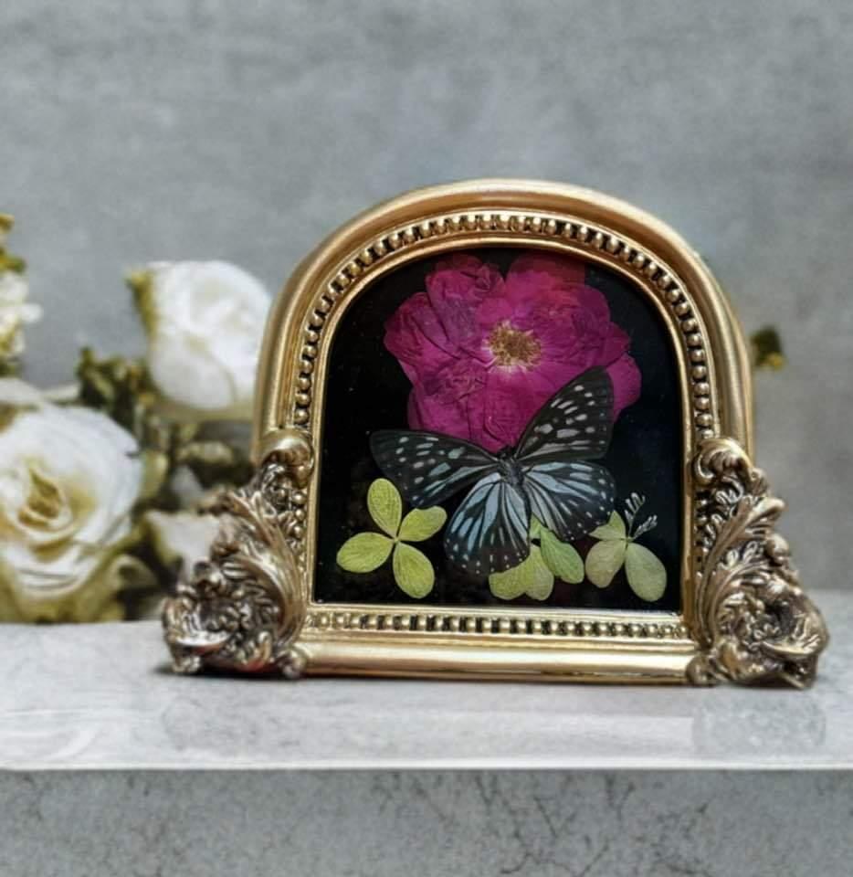 More from Amanda Norman’s Designs